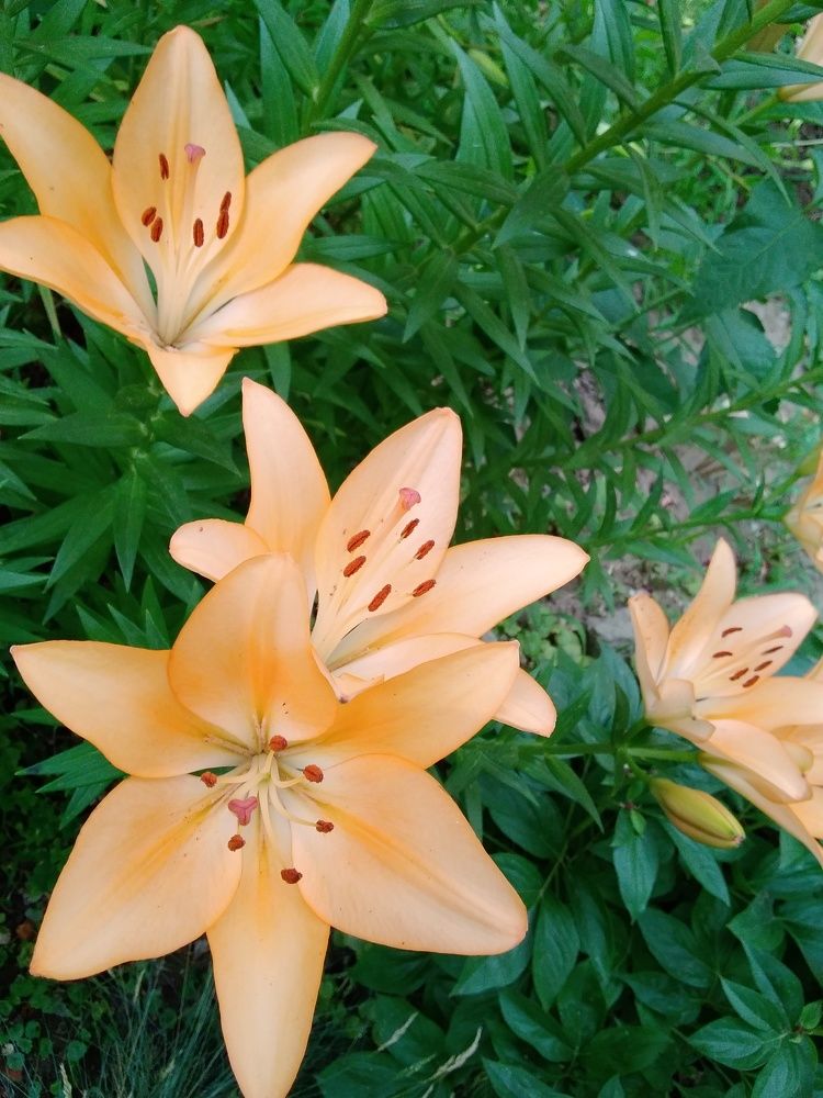 Photograph by Марта Васильева