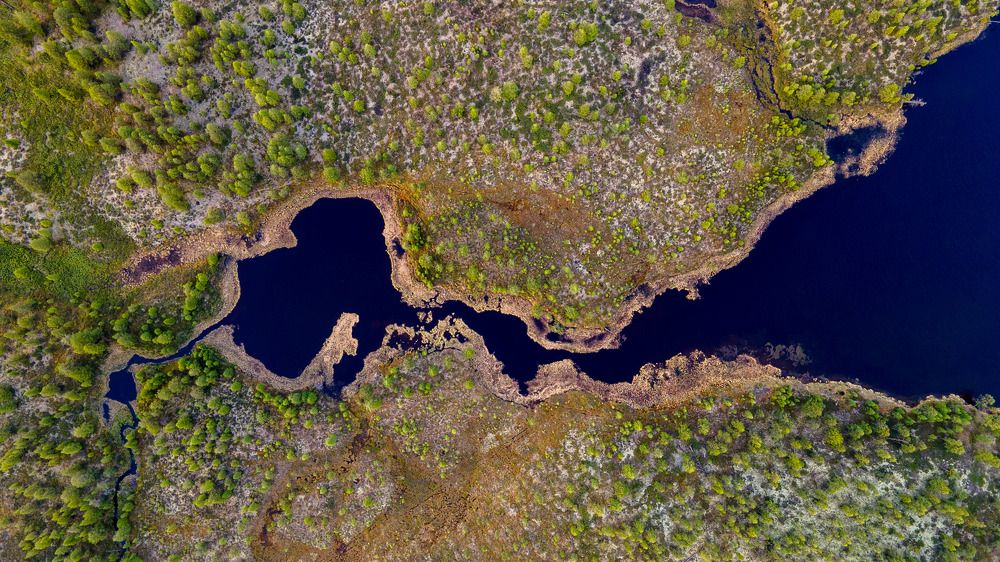 Photograph by Михаил