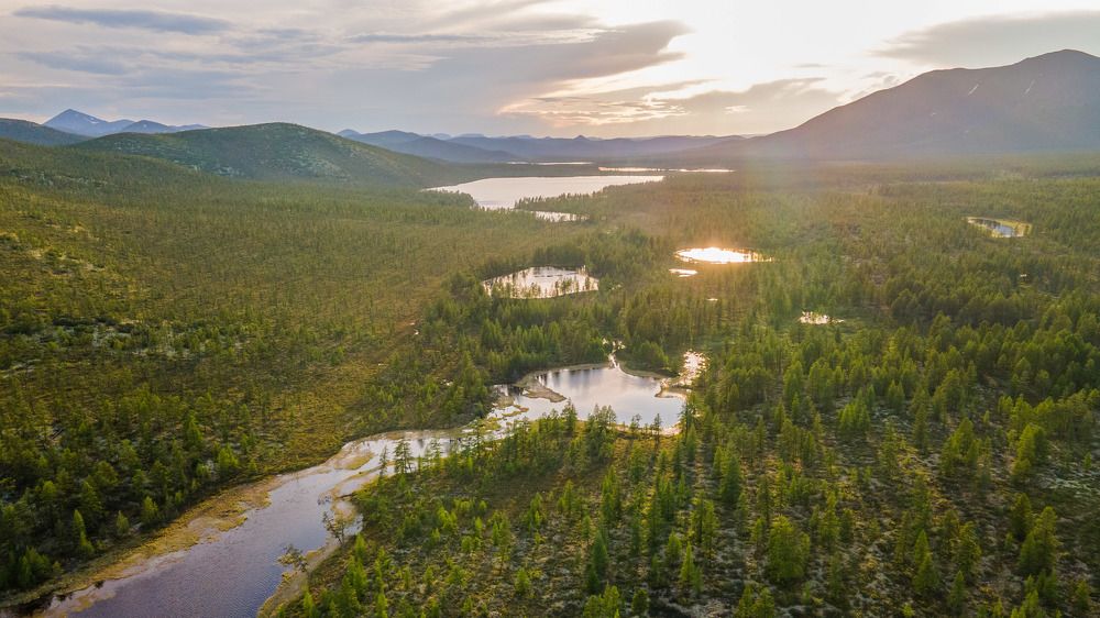 Photograph by Михаил