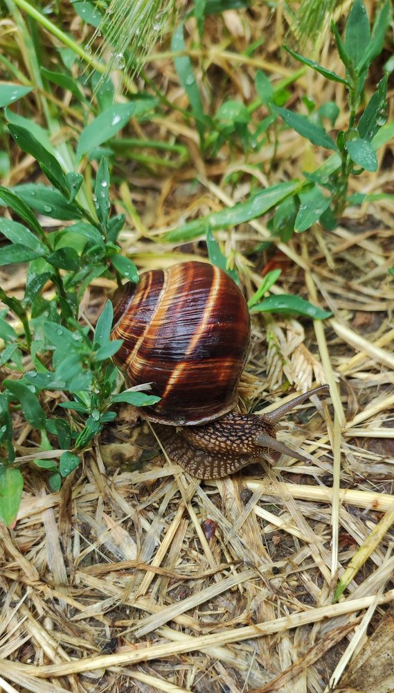 Photograph by Ирина Молчанова