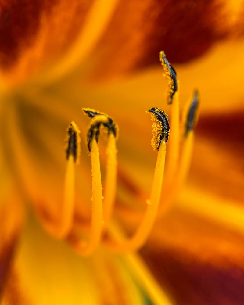 Photograph by Ольга Дорошенко