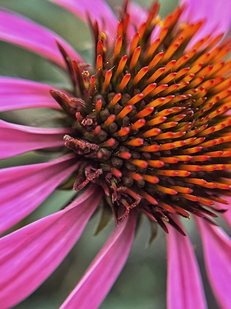 Photograph by Елена Фатеева