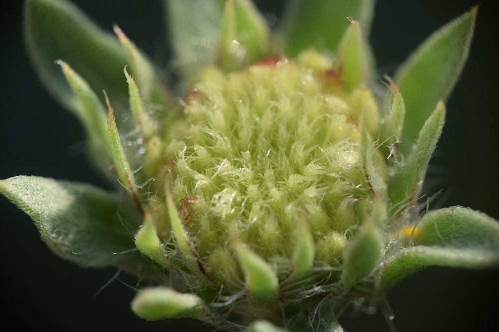 Photograph by Иван Левин