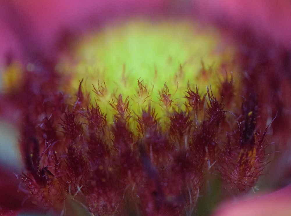 Photograph by Иван Левин