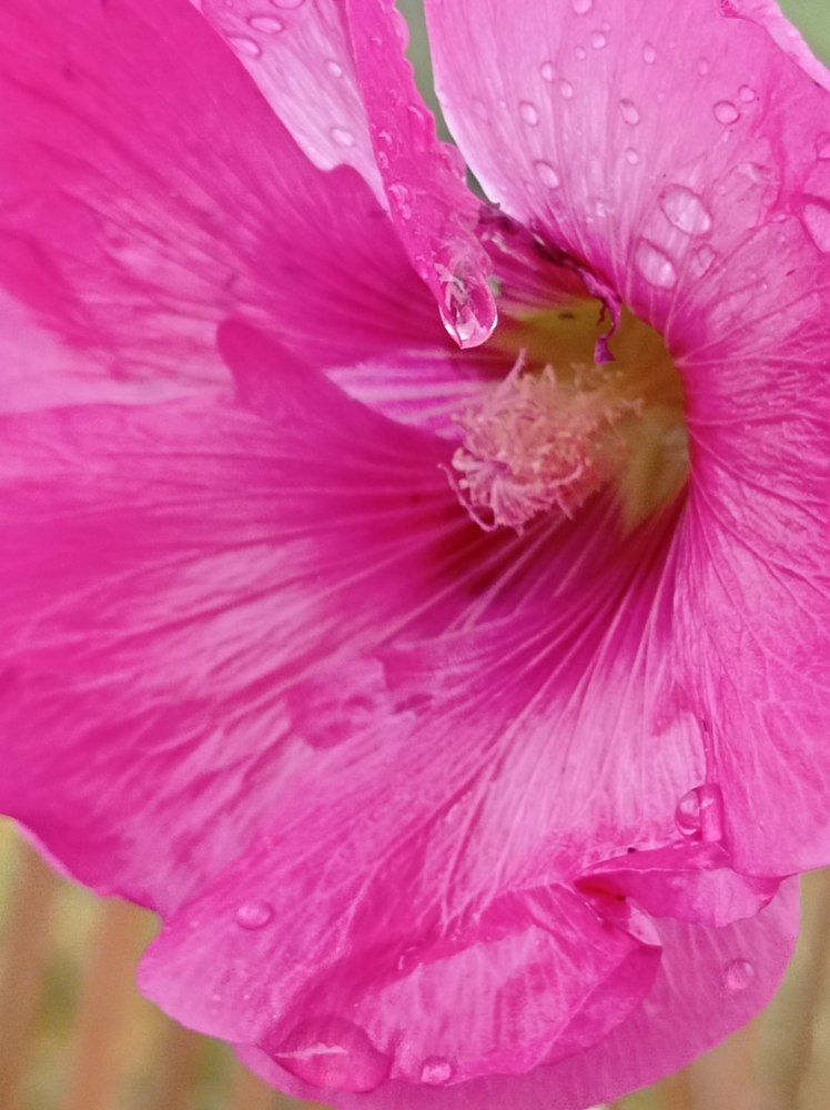 Photograph by Ирина Орлова