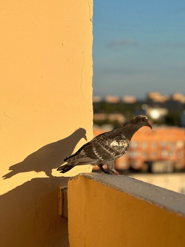 Photograph by Татьяна