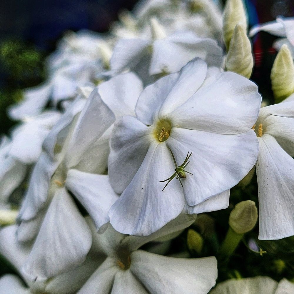 Фотография автора Татьяна