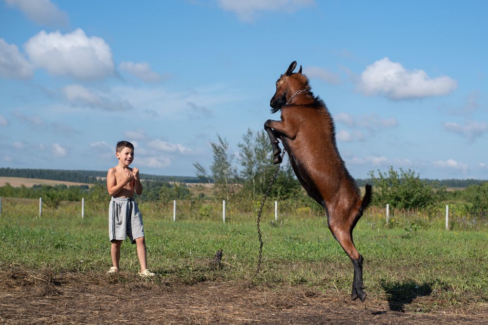 Photograph by наталья залогина