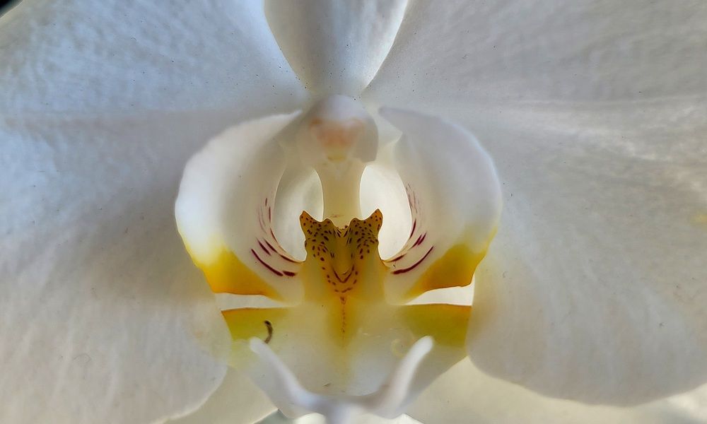 Photograph by Метушова Анна