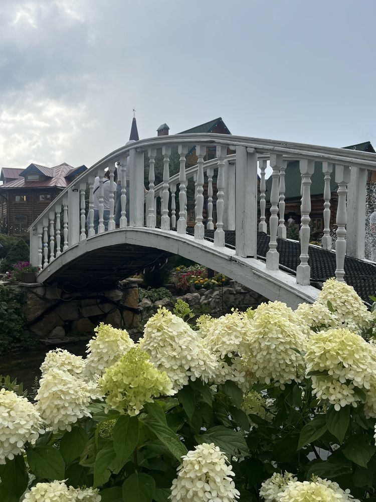 Photograph by Ekaterina