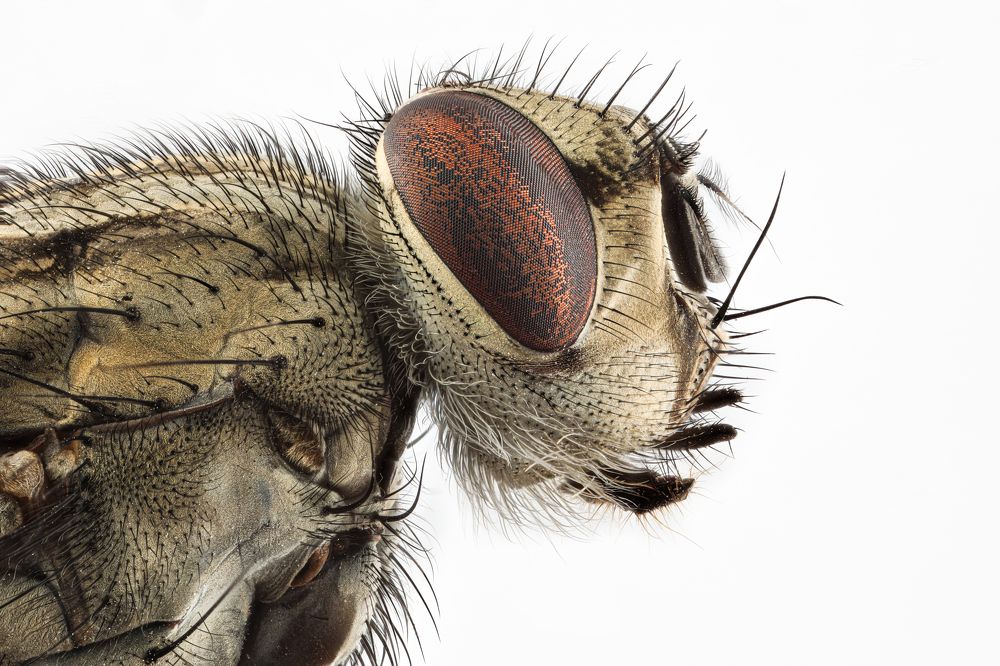 Photograph by Hocine Ferhat