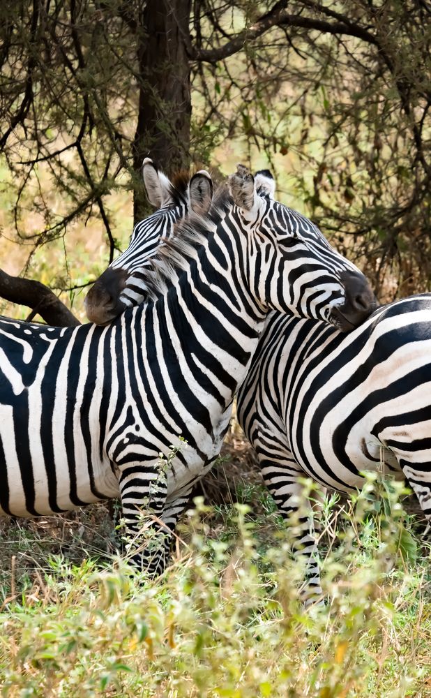 Photograph by Светлана Суворова