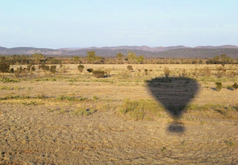 Фотография автора caroline martin (dony)