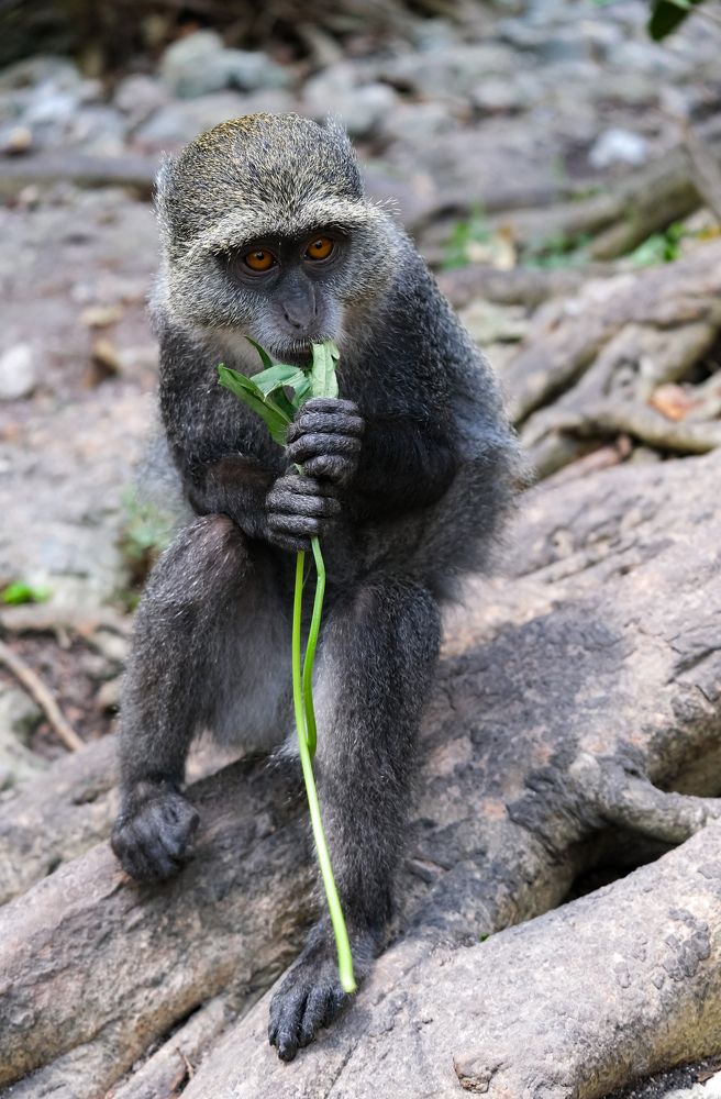 Photograph by Светлана Суворова