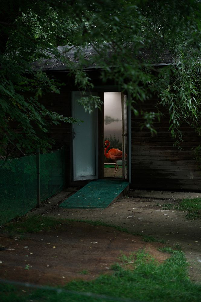 Photograph by Эмилия Ляпунова