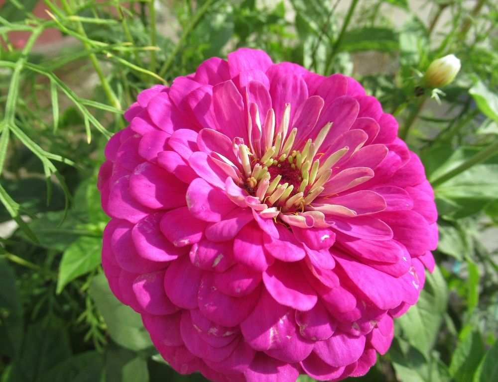 Photograph by Владимир