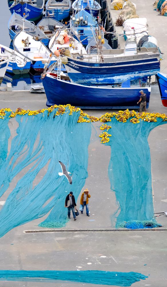 Photograph by Светлана Суворова