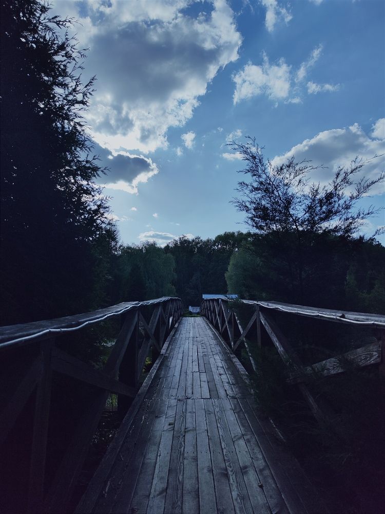 Photograph by Виктория Дайлидова