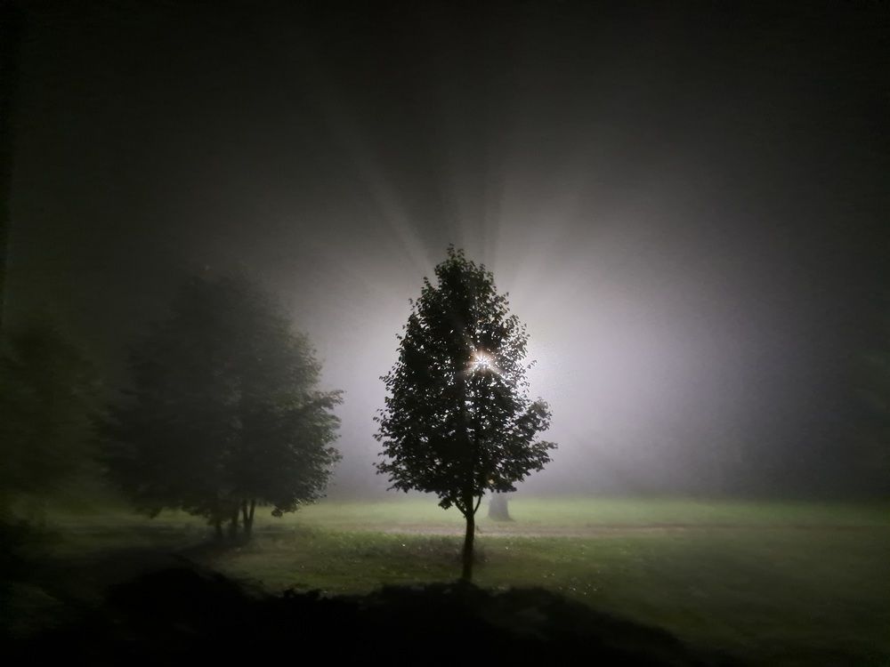 Photograph by Татьяна Котова