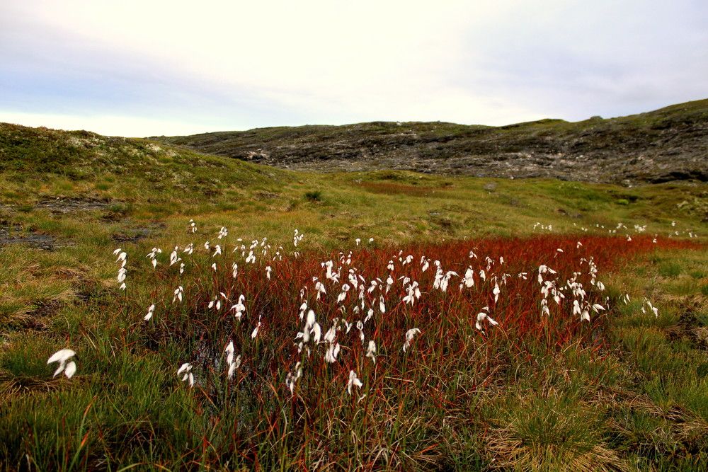 Photograph by 
