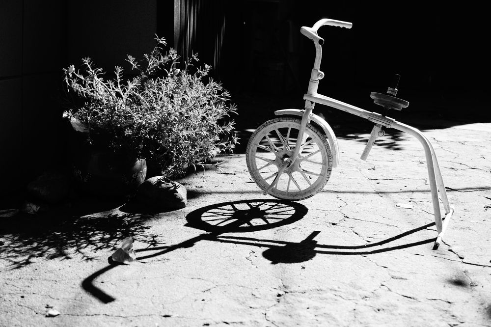 Photograph by Елена Шабельникова