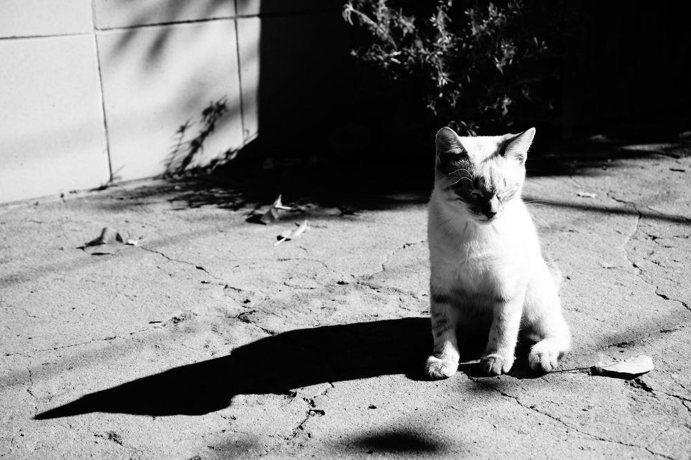 Photograph by Елена Шабельникова