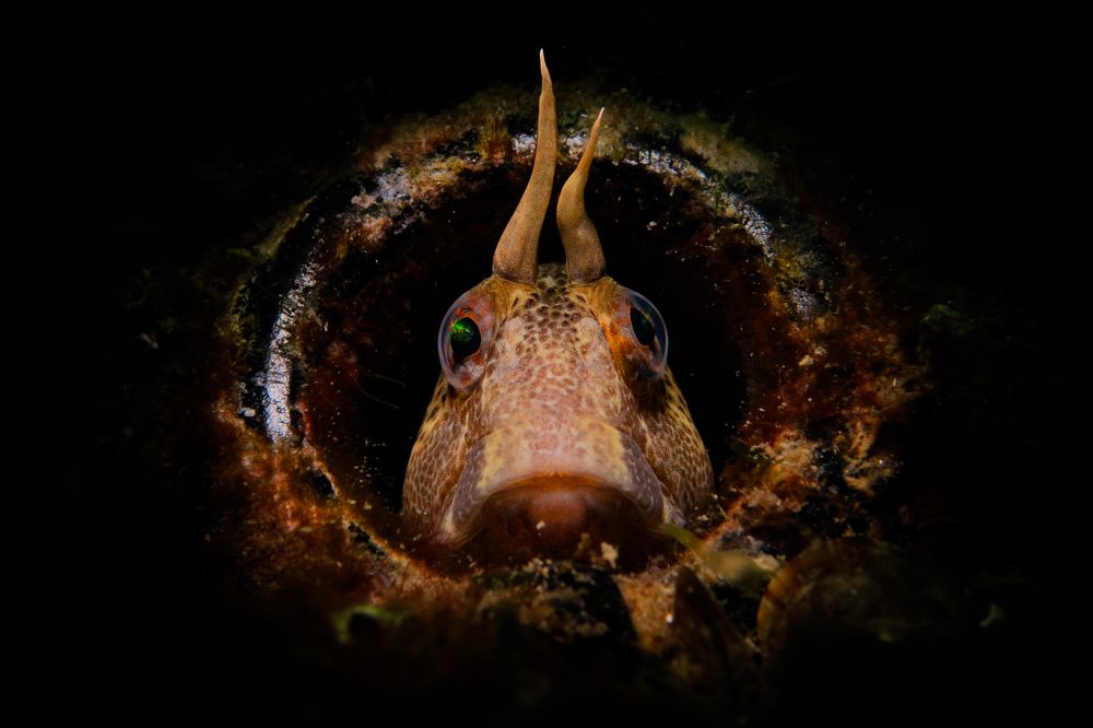 Photograph by Serdar AVCI