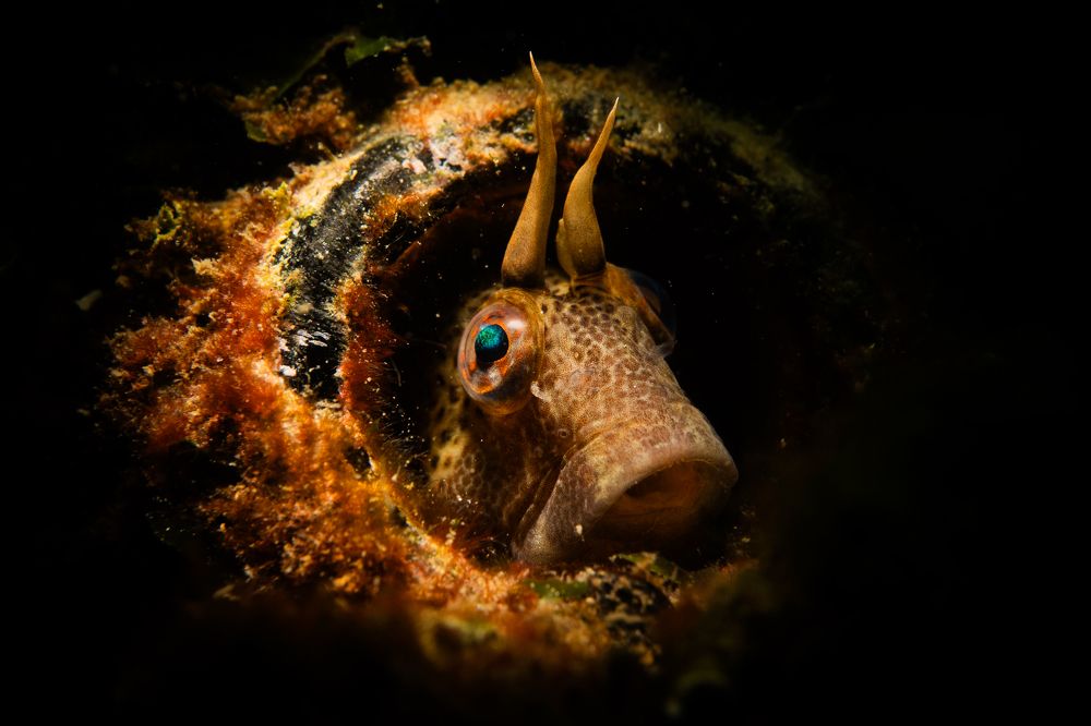 Photograph by Serdar AVCI