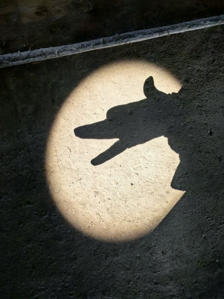 Photograph by Анна Шаповалова