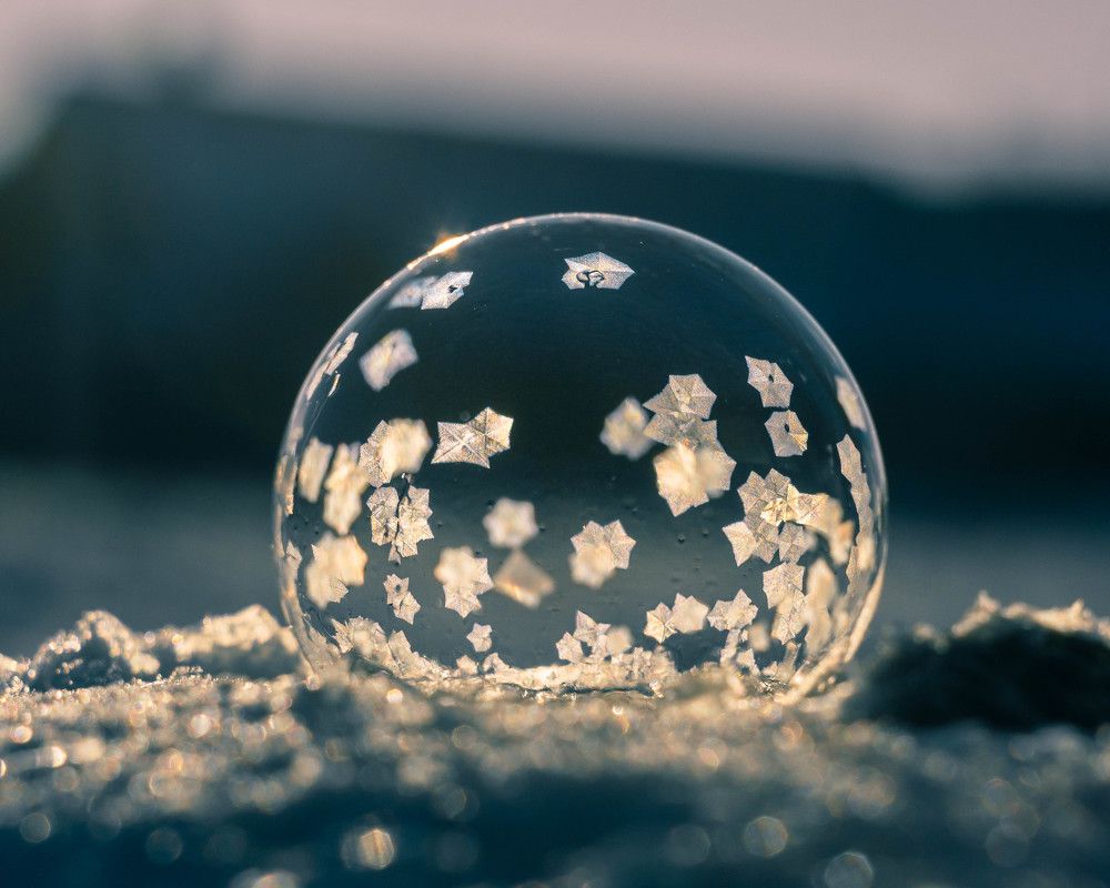 Photograph by Людмила Прибылова