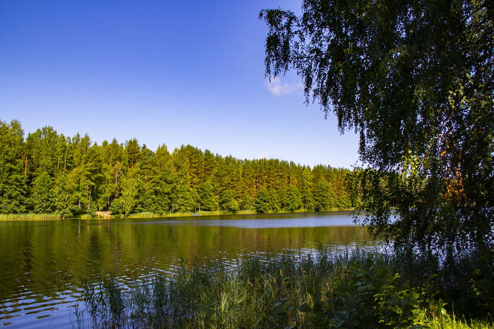 Photograph by Ангелина Крылова