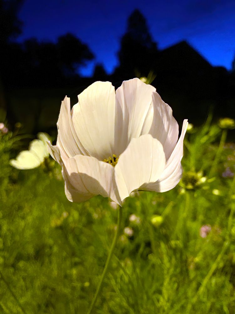 Photograph by Борис Соколов