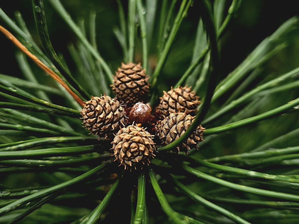 Photograph by Анна Семенова