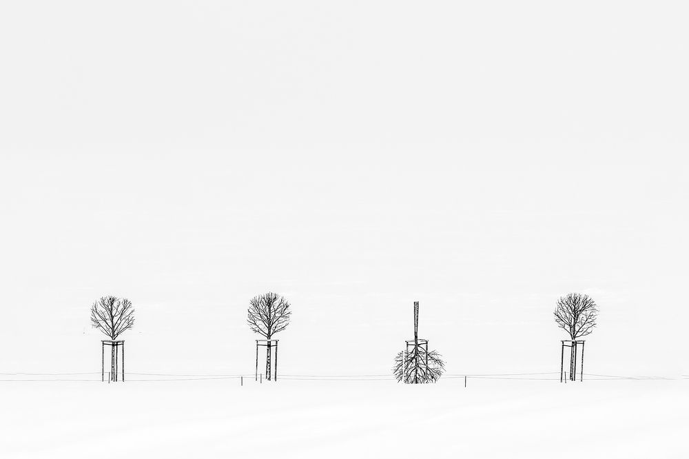 Photograph by Анжелика Титова