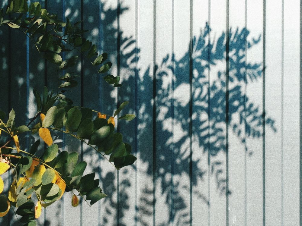 Photograph by Екатерина Кузнецова