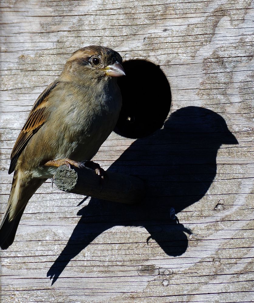 Фотография автора Сергей Гречихин