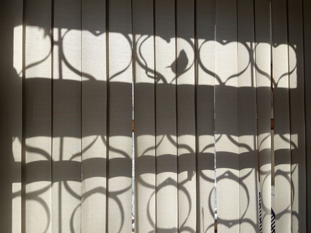 Photograph by Елена Алешкевич