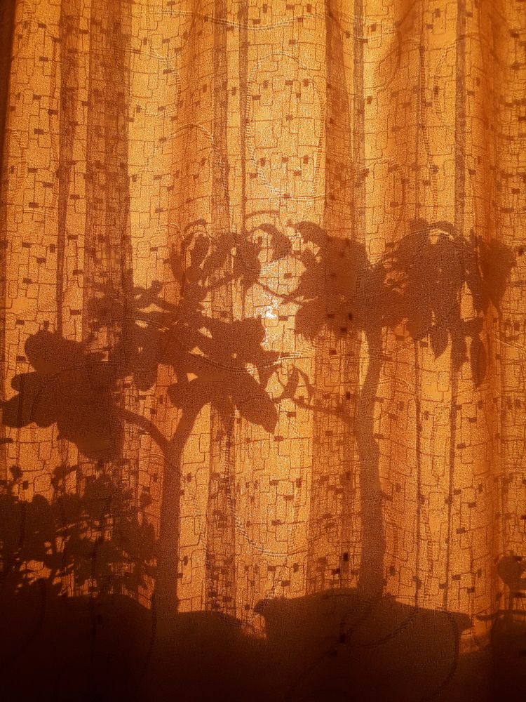 Photograph by Елена Алешкевич