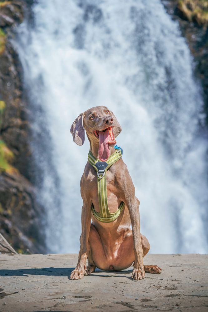 Photograph by Manel Subirats