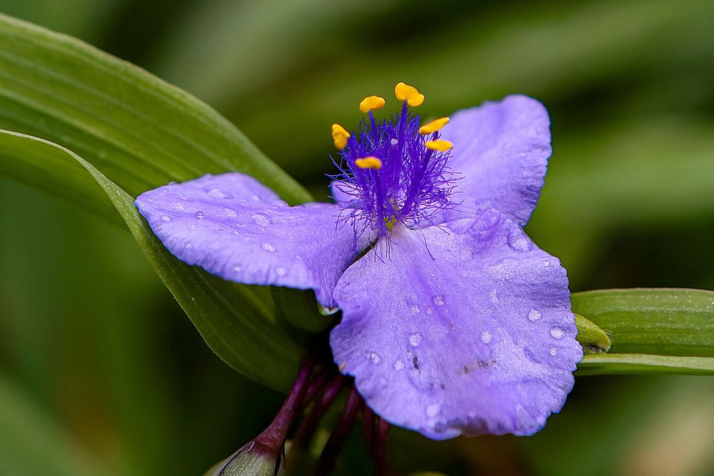 Photograph by Sergey Uskov