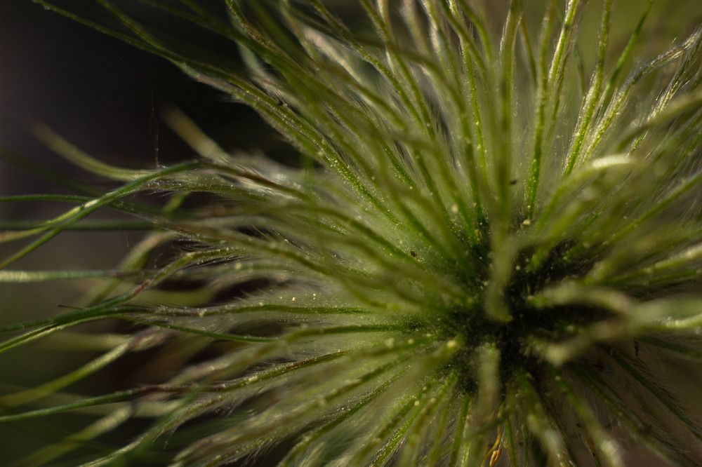 Фотография автора Дмитрий Овчинников