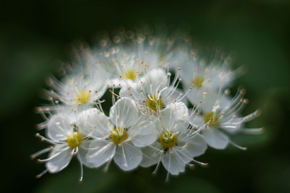 Фотография автора Дмитрий Овчинников