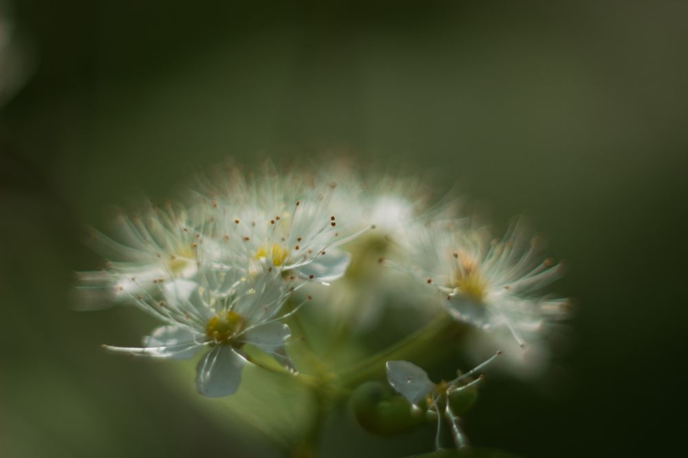 Фотография автора Дмитрий Овчинников