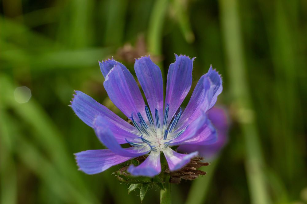 Фотография автора Дмитрий Овчинников