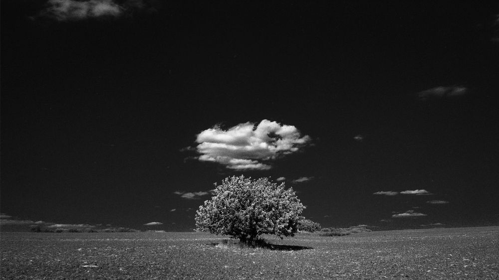 Photograph by Alexey Semyachkin