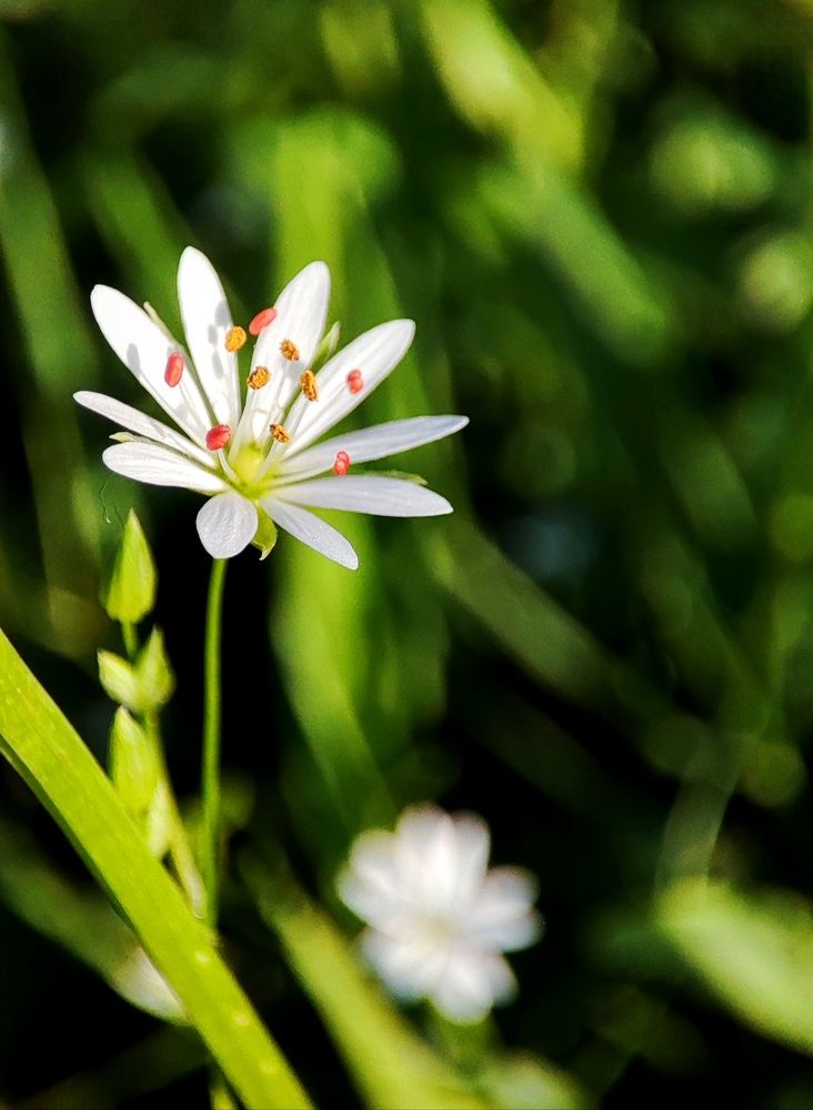 Photograph by Марина