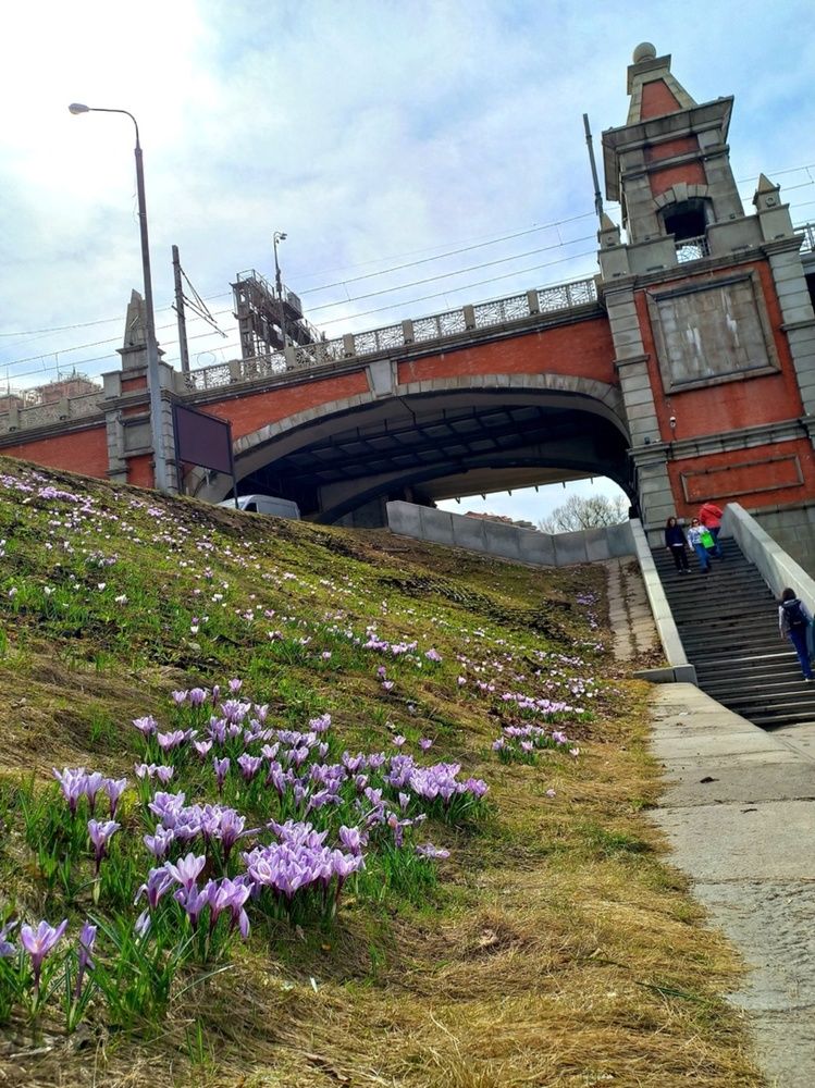 Фотография автора Наталья Крутицких