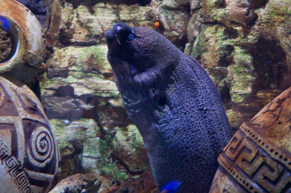 Яркий подводный мир