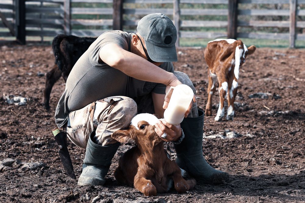 Photograph by Виктор Владимиров