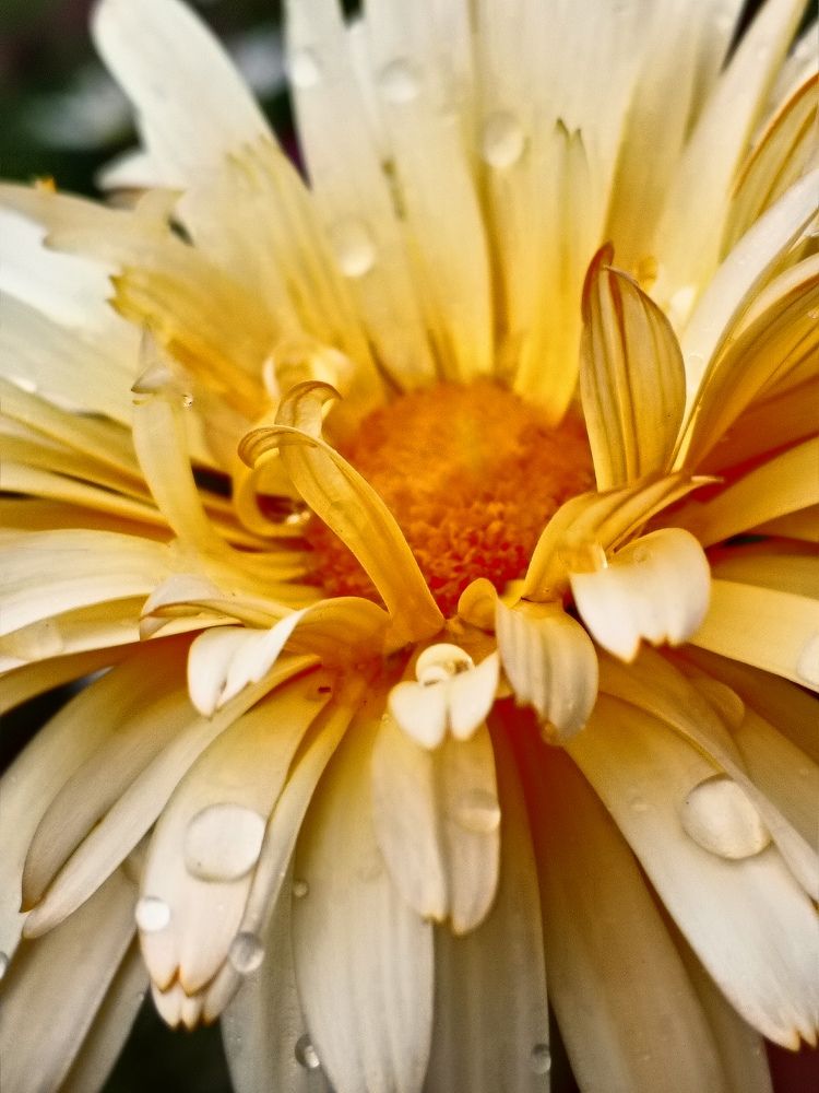 Photograph by Лариса Натальская